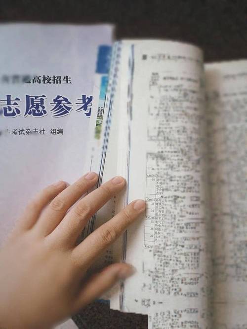互联网企业开始进入这一领域,利用大数据和ai技术提供志愿辅助服务